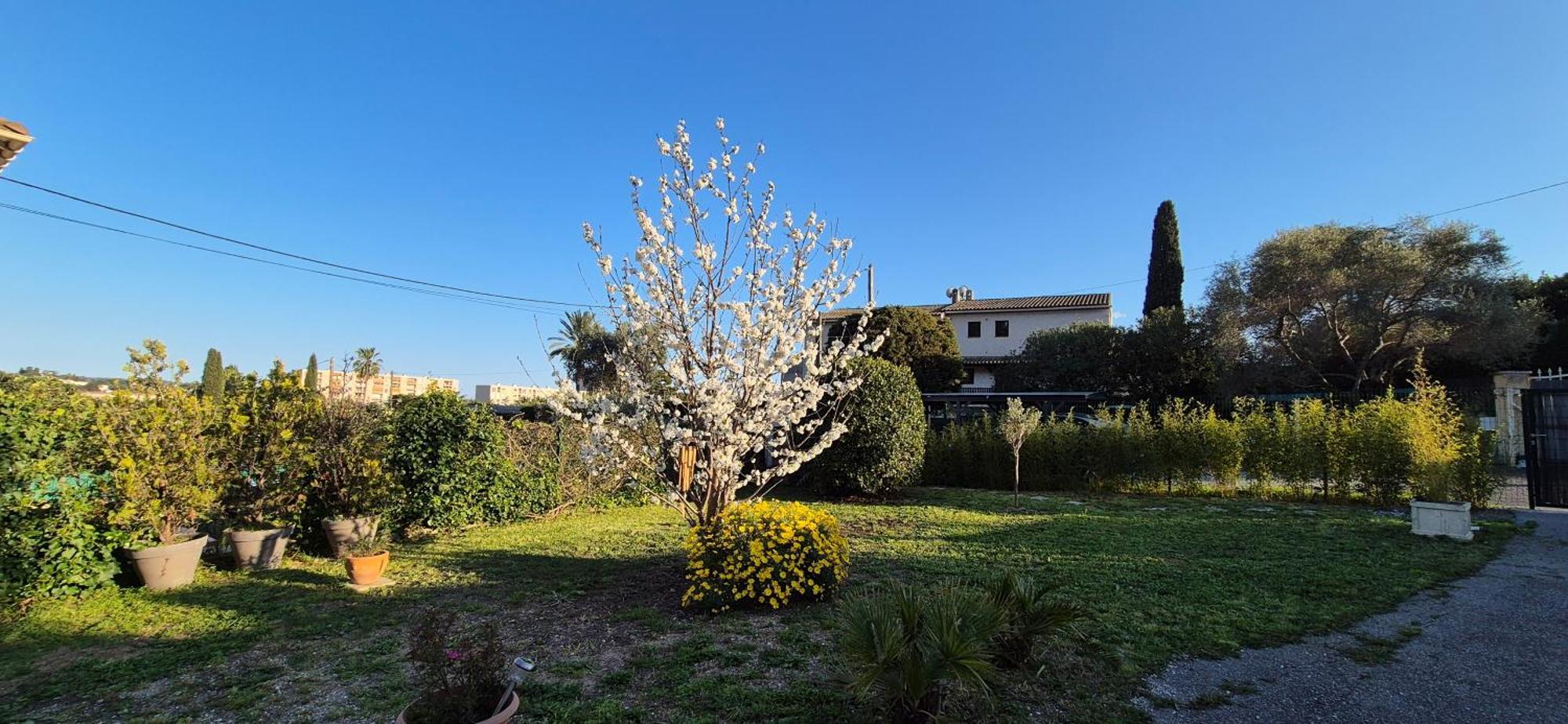 Studio Independant Avec Terrasse A Juan Les Pins อองทีบส์ ภายนอก รูปภาพ